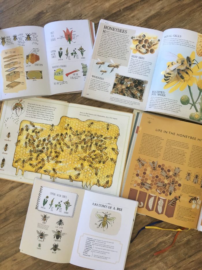 Living Books are fantastic for Nature Study in Charlotte Mason homeschool #homeschool #homeschooling #charlottemason