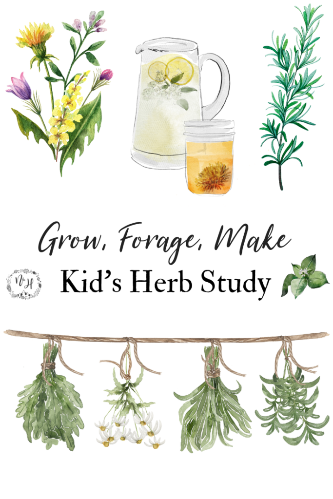 Grow a family herb garden and enjoy family foraging