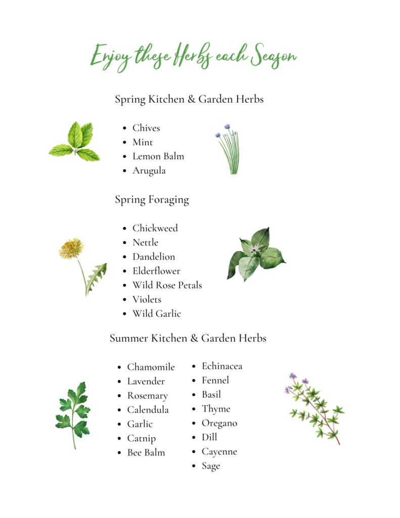 Herbs for each season